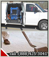 carpet steam cleaning